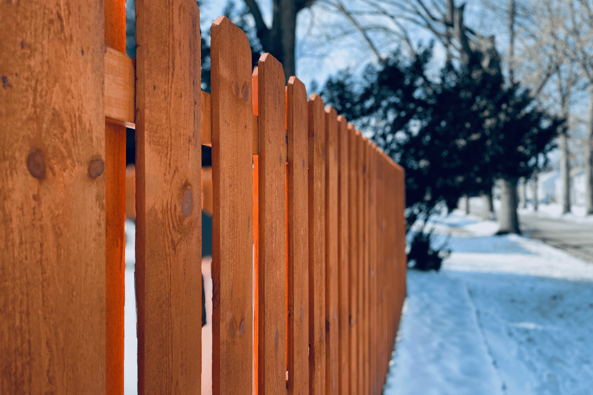 Cedar privacy fence with lattice top