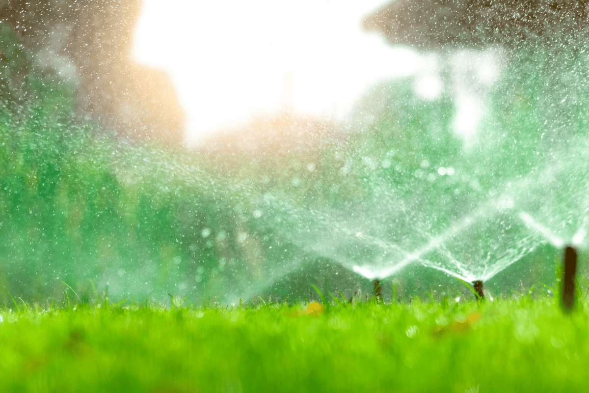 Lawn sprinkler system at golden hour