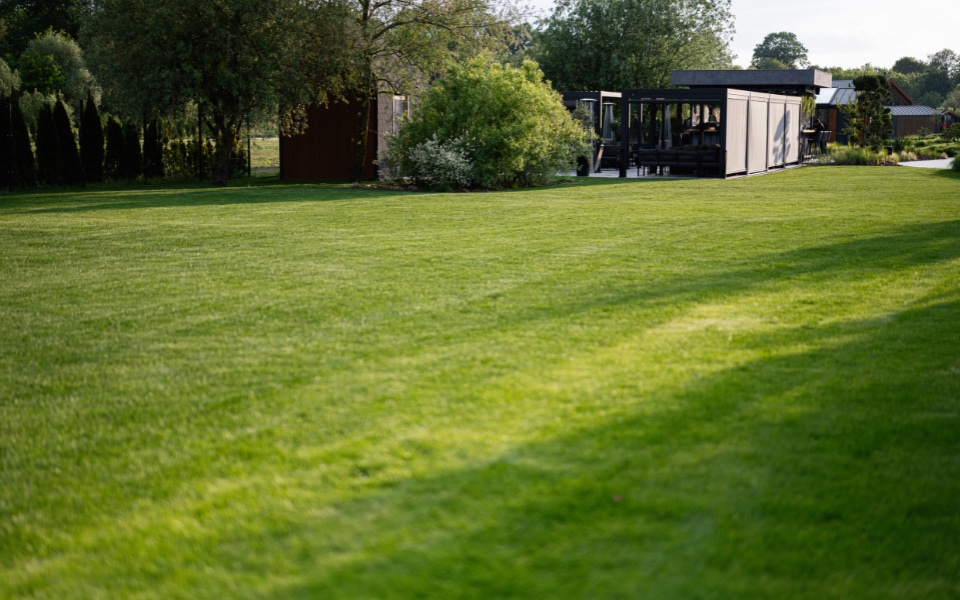 After — lush lawn and new patio