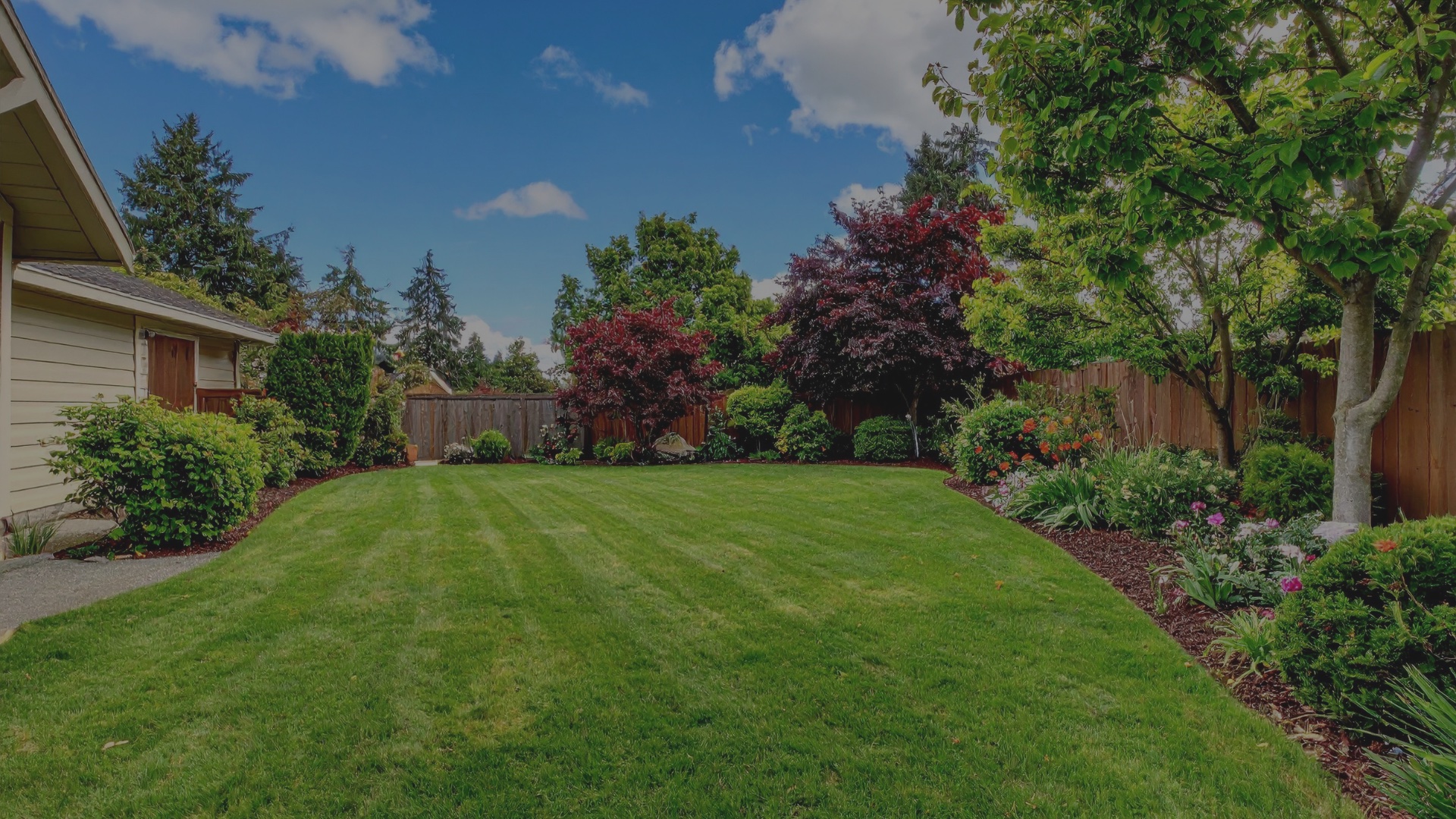 Beautiful landscaped backyard