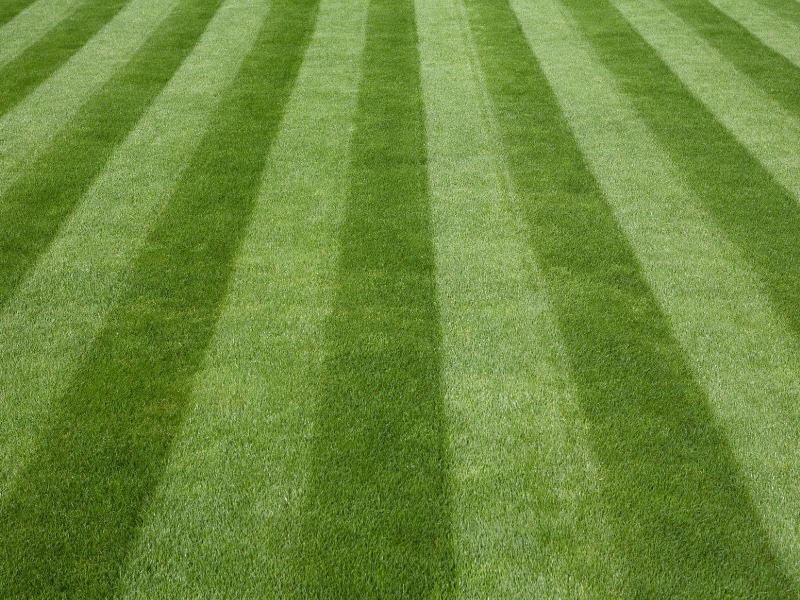 Lawn Care & Mowing