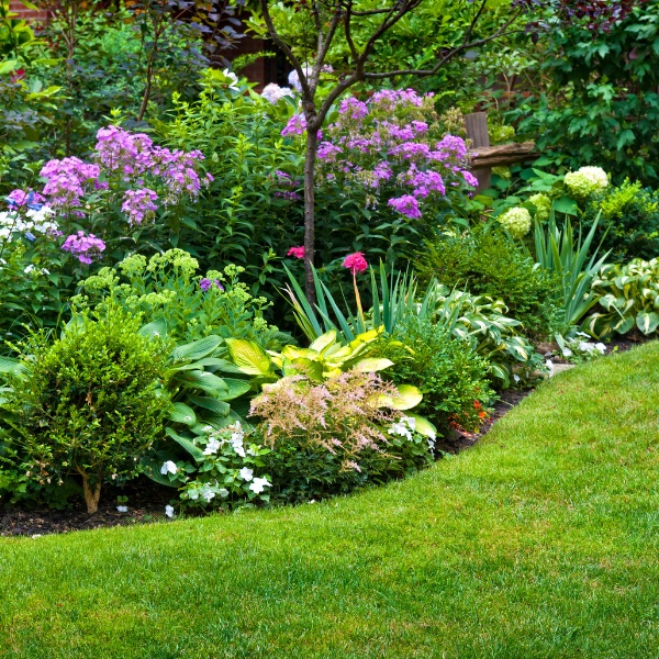 Perennial Garden