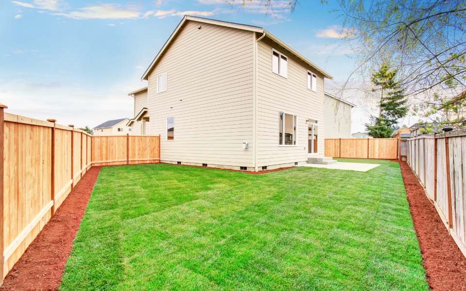 Before — empty side yard