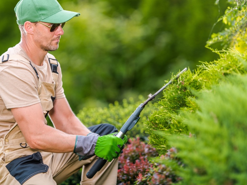 Evergreen Landscaping team at work